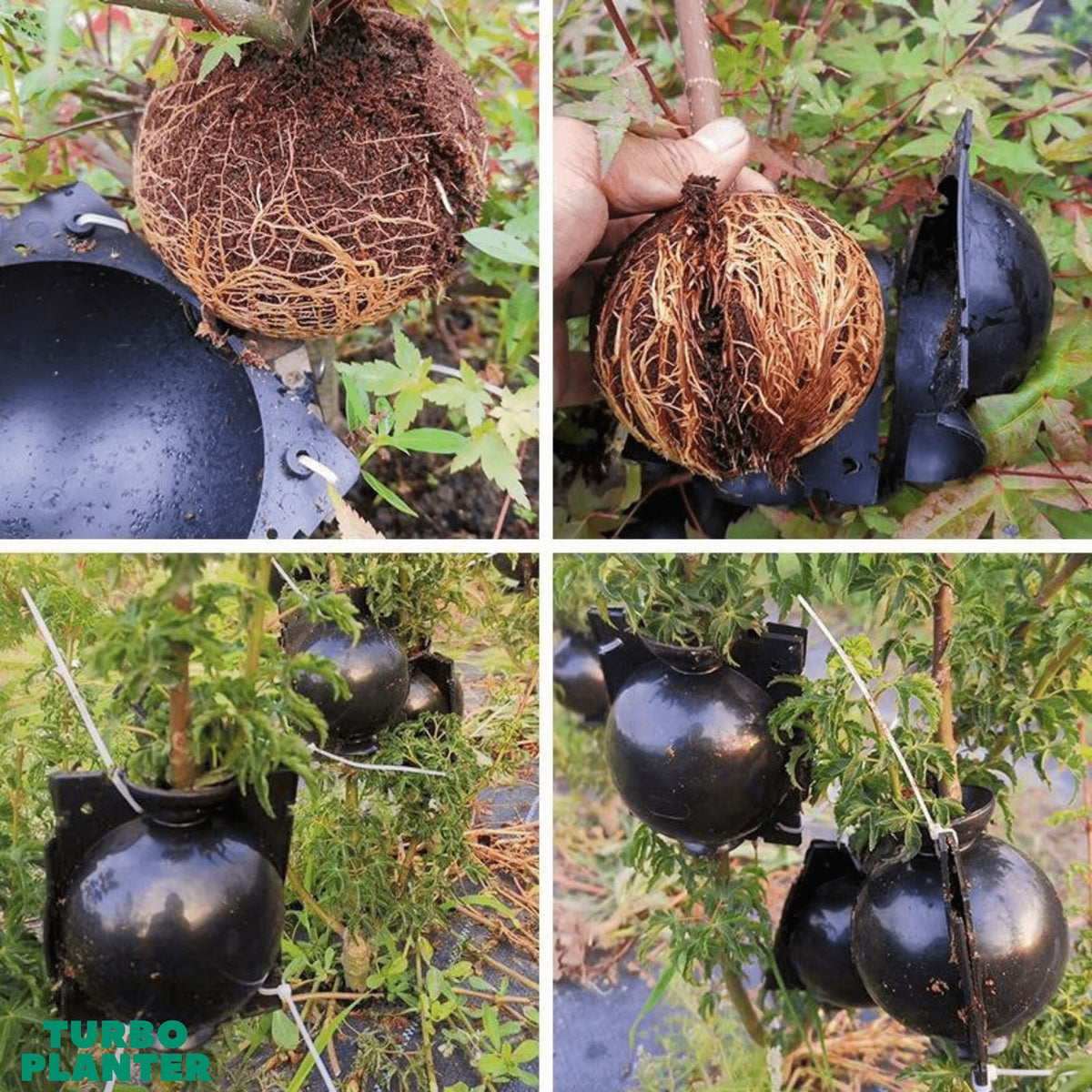 TURBO-Wurzelball 5x - TURBOPLANTER™ - Das Original nur hier im Shop!